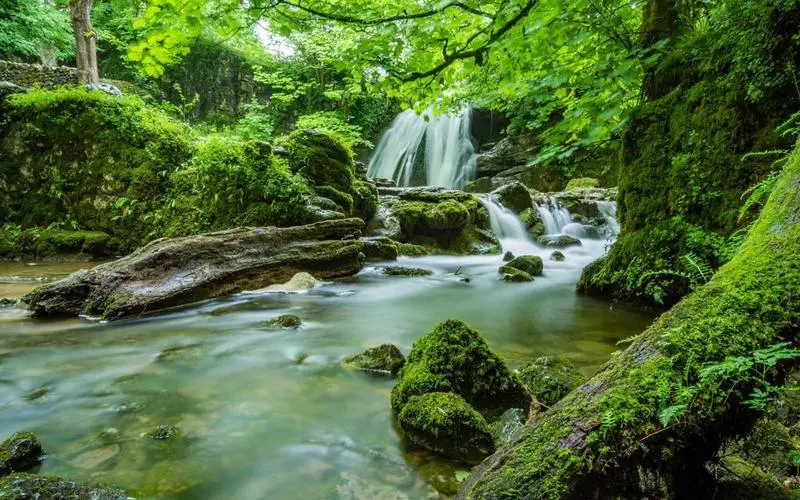 智能系统高性能